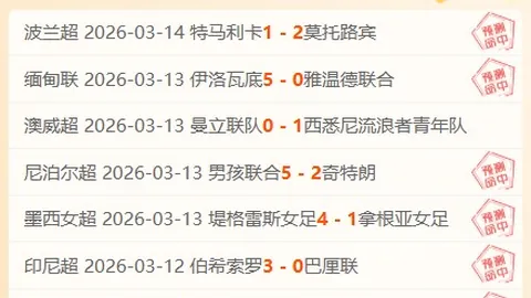 切尔西未来规划受帕尔默离队影响，面临关键挑战